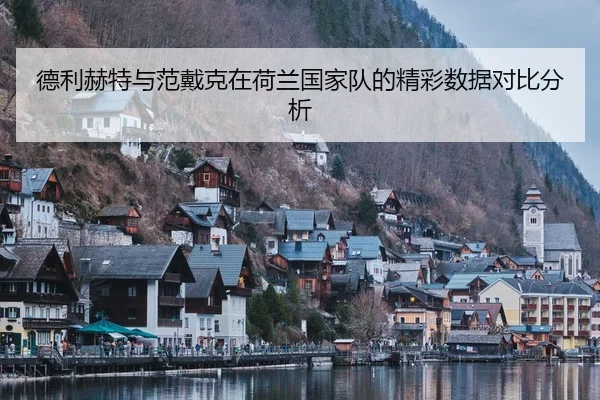de-li-he-te-yu-fan-dai-ke-zai-he-lan-guo-jia-dui-de-jing-cai-shu-ju-dui-bi-fen-xi-2-779.jpg