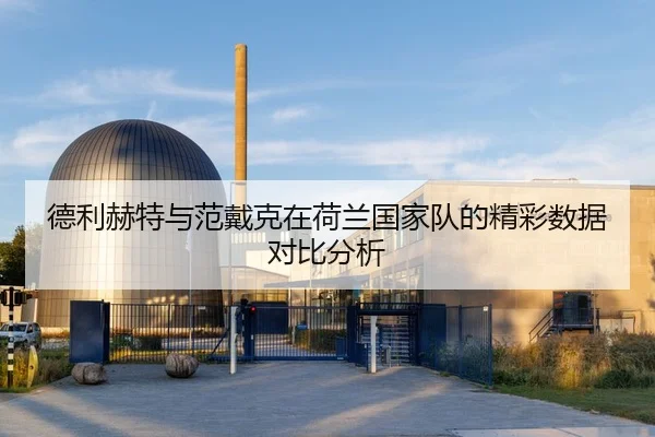 德利赫特与范戴克在荷兰国家队的精彩数据对比分析